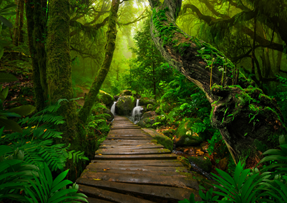 Expedice Amazonka: Tajemný chrám bohů